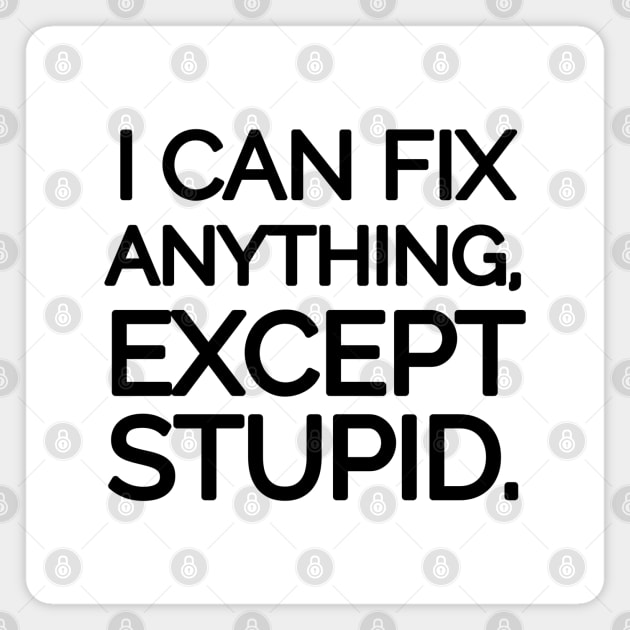 I can fix anything, except stupid. Magnet by mksjr